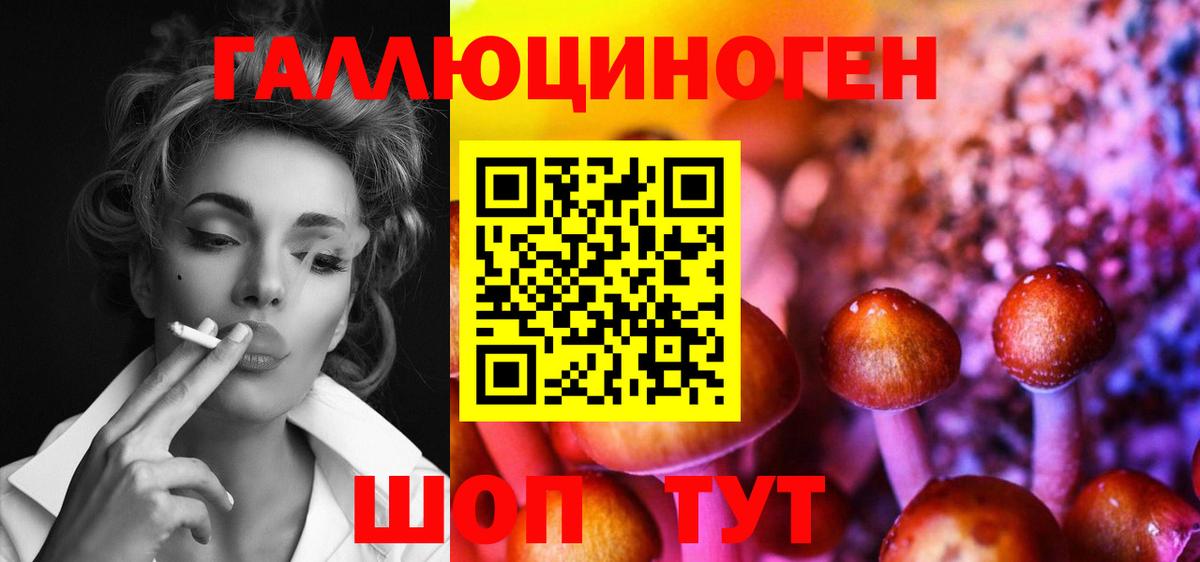 Псилоцибиновые грибы прущие грибы Протвино