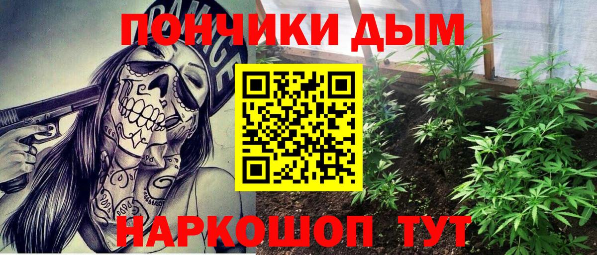 Бошки марихуана SATIVA & INDICA Протвино
